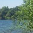Thumbnail of Canadian Lake by David Turner