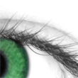 Eye Ninja