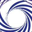 Spin 1